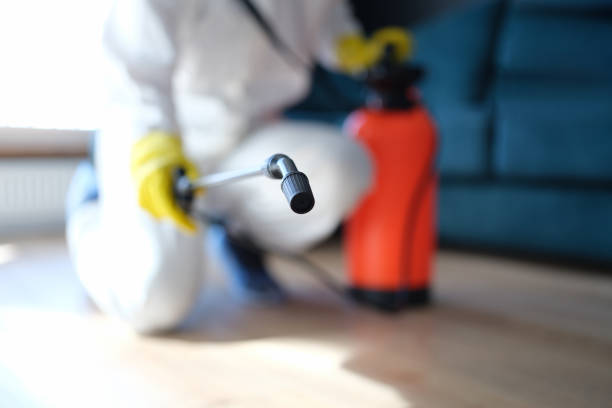 Best HVAC Mold Inspection and Cleaning  in Baldwin, MI