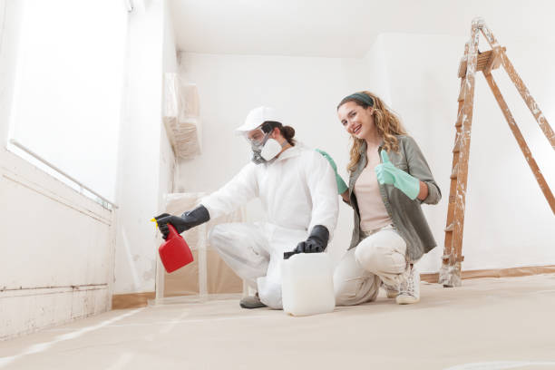 Best Mold Removal for HVAC Installations  in Baldwin, MI